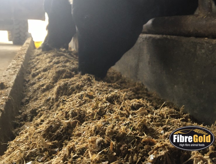 Use of Straw in Dairy Cattle Diets – Team Forage